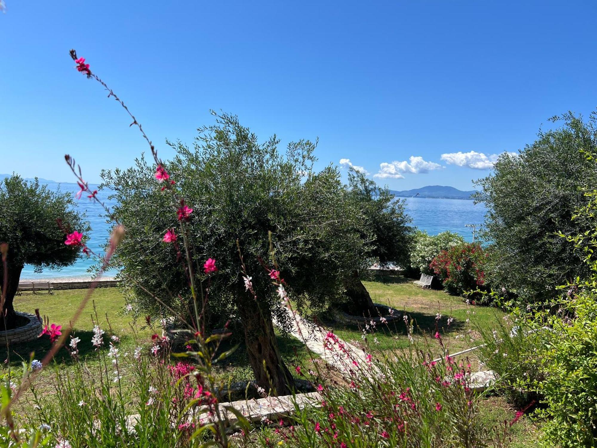 Nisaki Nissaki Bay公寓 外观 照片